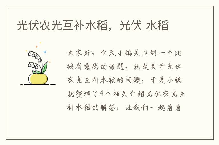 光伏农光互补水稻，光伏 水稻