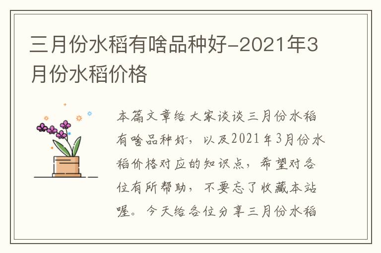 三月份水稻有啥品种好-2021年3月份水稻价格