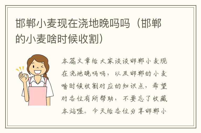 邯郸小麦现在浇地晚吗吗（邯郸的小麦啥时候收割）