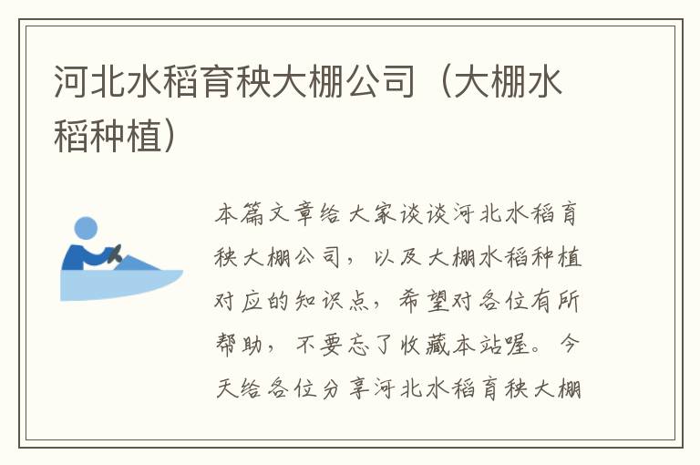 河北水稻育秧大棚公司（大棚水稻种植）