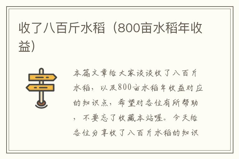 收了八百斤水稻（800亩水稻年收益）