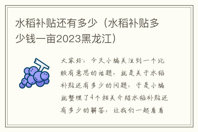 水稻补贴还有多少（水稻补贴多少钱一亩2023黑龙江）