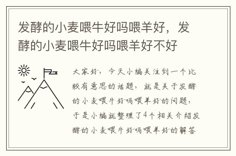 发酵的小麦喂牛好吗喂羊好，发酵的小麦喂牛好吗喂羊好不好