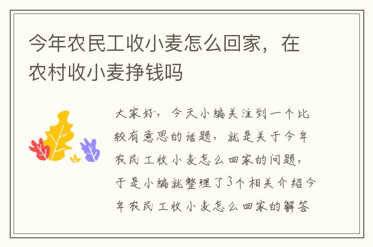 今年农民工收小麦怎么回家，在农村收小麦挣钱吗