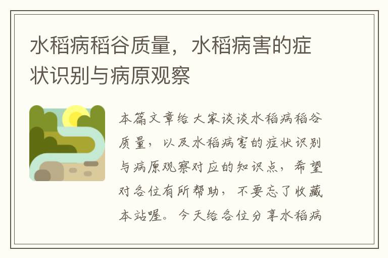 水稻病稻谷质量，水稻病害的症状识别与病原观察