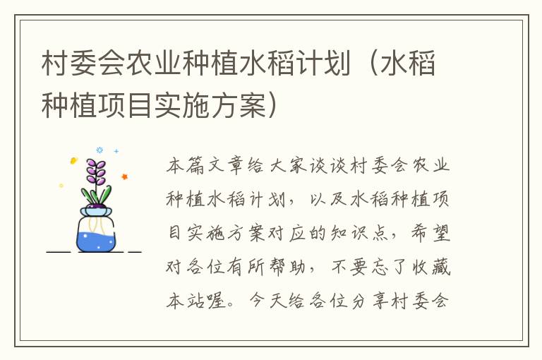 村委会农业种植水稻计划（水稻种植项目实施方案）