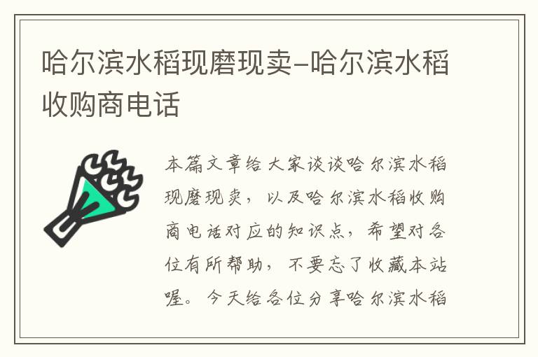 哈尔滨水稻现磨现卖-哈尔滨水稻收购商电话