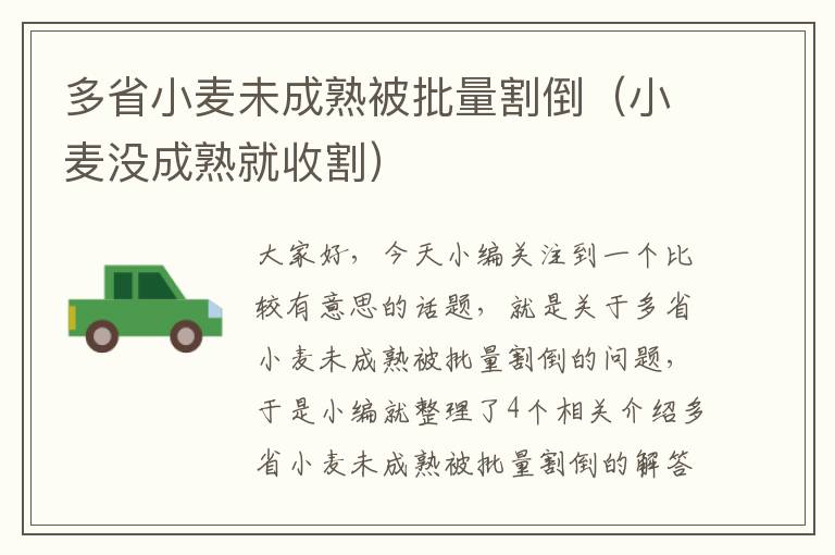 多省小麦未成熟被批量割倒（小麦没成熟就收割）