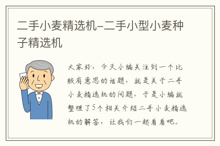 二手小麦精选机-二手小型小麦种子精选机