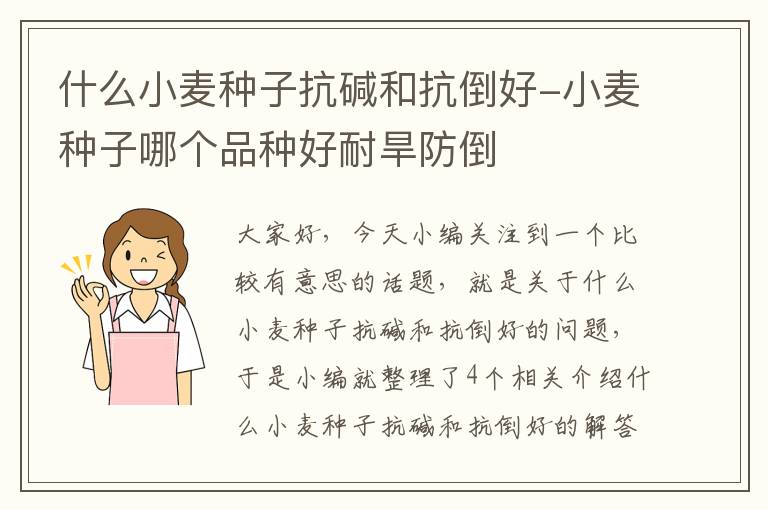 什么小麦种子抗碱和抗倒好-小麦种子哪个品种好耐旱防倒