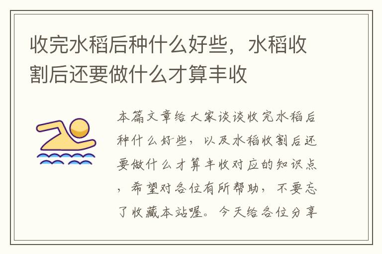 收完水稻后种什么好些，水稻收割后还要做什么才算丰收