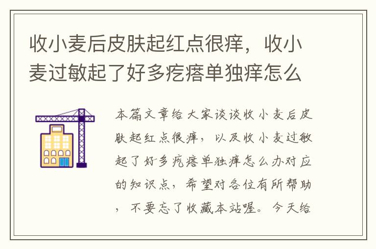 收小麦后皮肤起红点很痒，收小麦过敏起了好多疙瘩单独痒怎么办