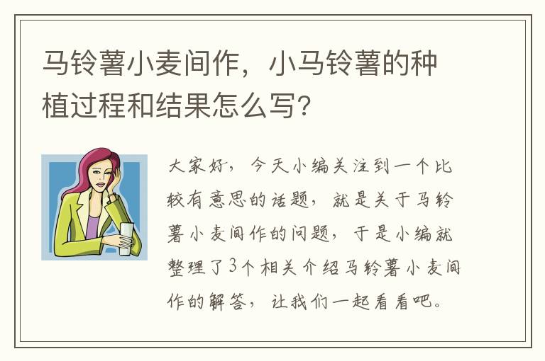 马铃薯小麦间作，小马铃薯的种植过程和结果怎么写?