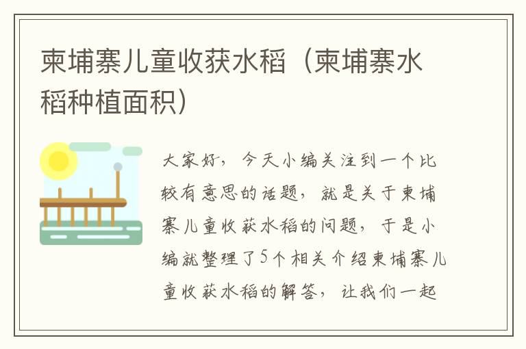 柬埔寨儿童收获水稻（柬埔寨水稻种植面积）