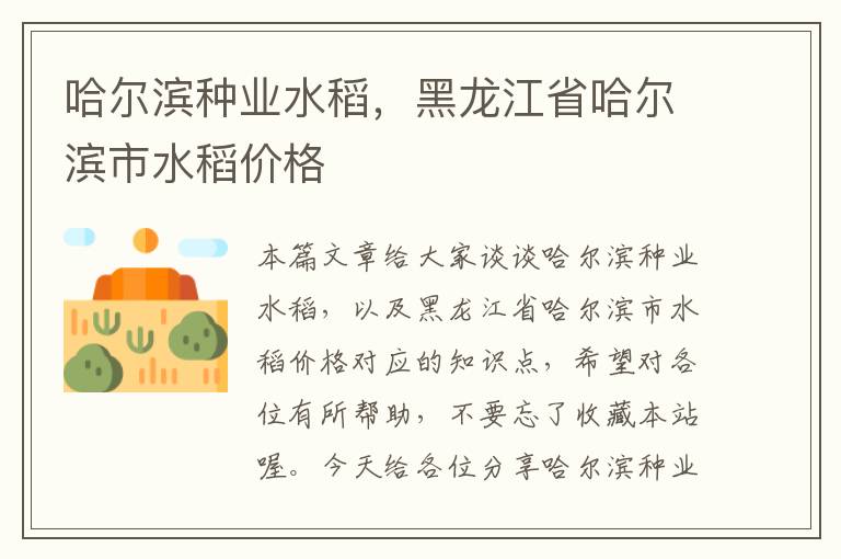 哈尔滨种业水稻，黑龙江省哈尔滨市水稻价格