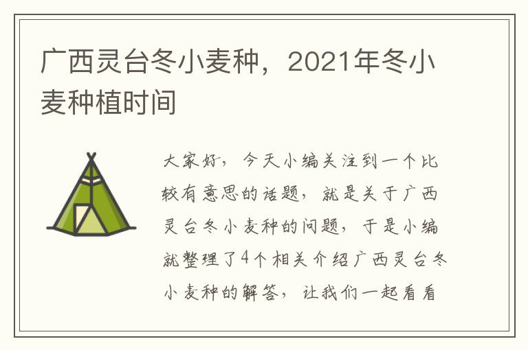 广西灵台冬小麦种，2021年冬小麦种植时间