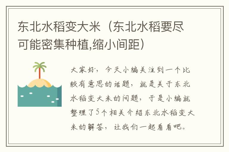 东北水稻变大米（东北水稻要尽可能密集种植,缩小间距）