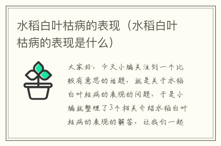 水稻白叶枯病的表现（水稻白叶枯病的表现是什么）