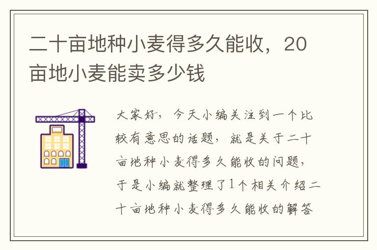 二十亩地种小麦得多久能收，20亩地小麦能卖多少钱