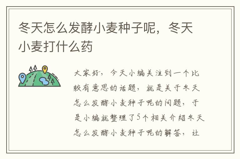 冬天怎么发酵小麦种子呢，冬天小麦打什么药