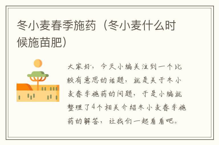 冬小麦春季施药（冬小麦什么时候施苗肥）