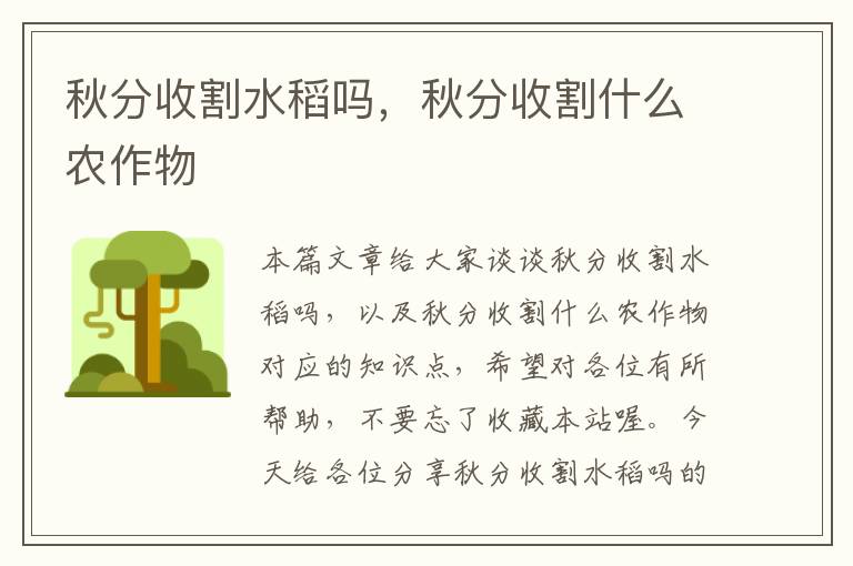 秋分收割水稻吗，秋分收割什么农作物