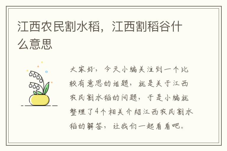 江西农民割水稻，江西割稻谷什么意思