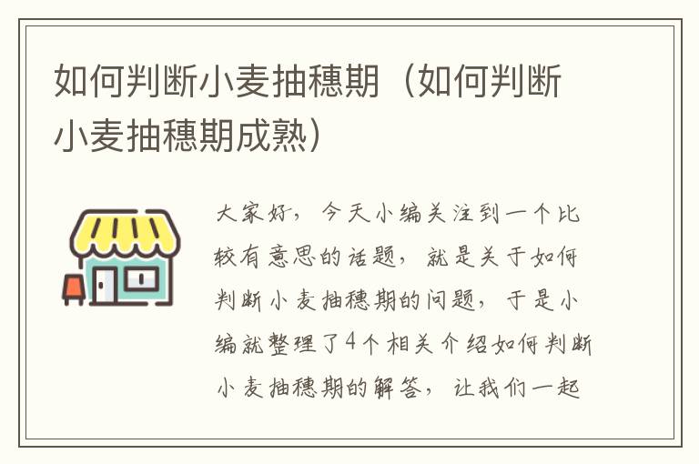 如何判断小麦抽穗期（如何判断小麦抽穗期成熟）