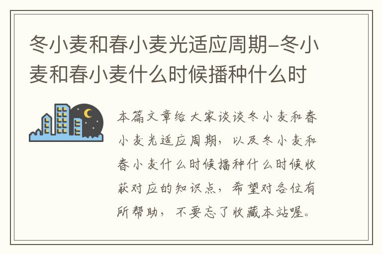 冬小麦和春小麦光适应周期-冬小麦和春小麦什么时候播种什么时候收获