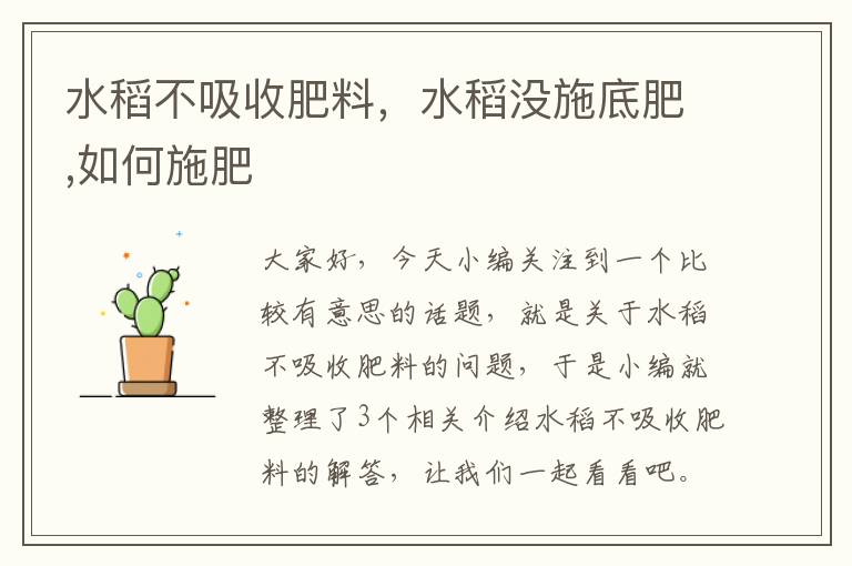 水稻不吸收肥料，水稻没施底肥,如何施肥