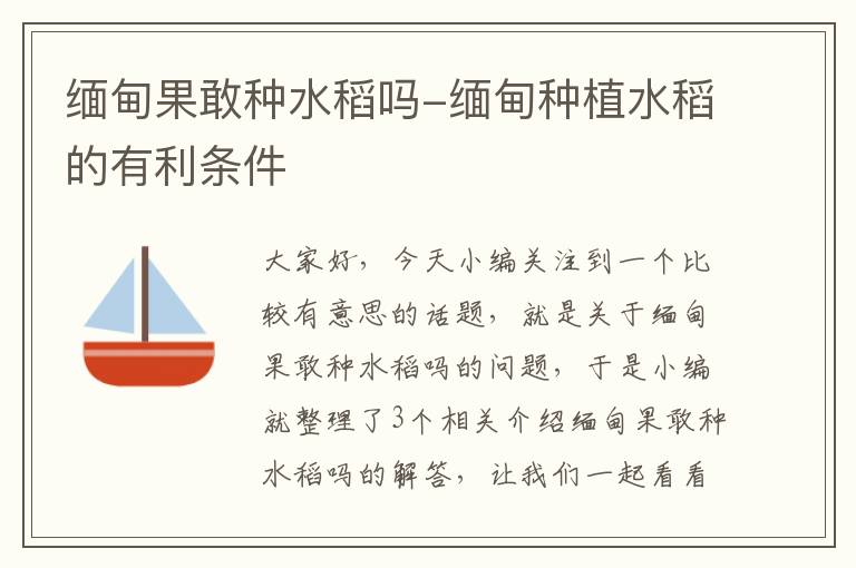 缅甸果敢种水稻吗-缅甸种植水稻的有利条件