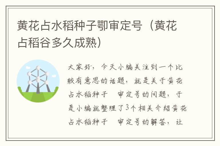 黄花占水稻种子卾审定号（黄花占稻谷多久成熟）