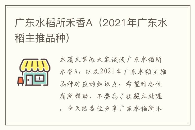 广东水稻所禾香A（2021年广东水稻主推品种）