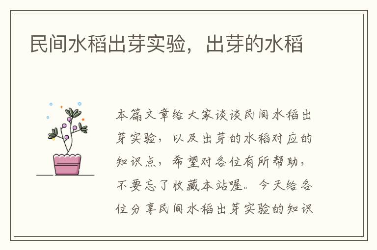 民间水稻出芽实验，出芽的水稻