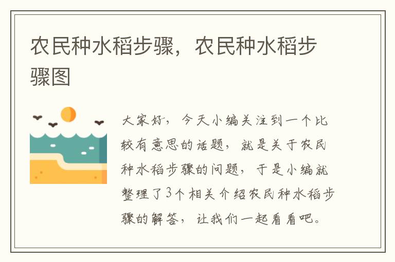 农民种水稻步骤，农民种水稻步骤图