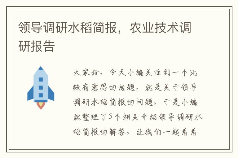 领导调研水稻简报，农业技术调研报告