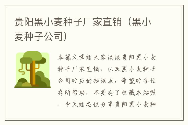 贵阳黑小麦种子厂家直销（黑小麦种子公司）