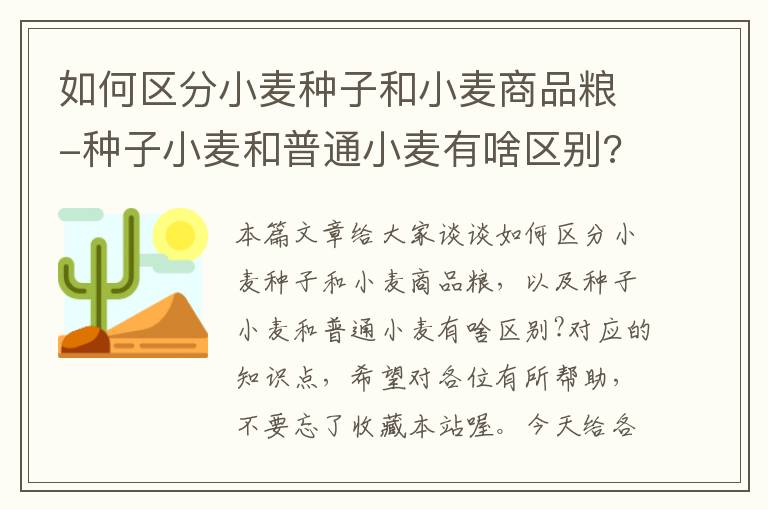 如何区分小麦种子和小麦商品粮-种子小麦和普通小麦有啥区别?