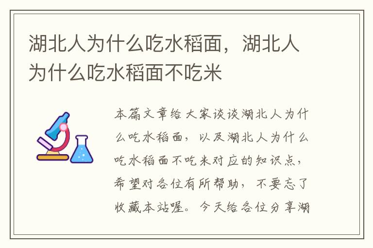 湖北人为什么吃水稻面，湖北人为什么吃水稻面不吃米