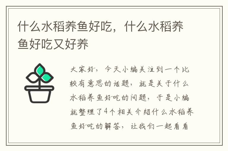 什么水稻养鱼好吃，什么水稻养鱼好吃又好养