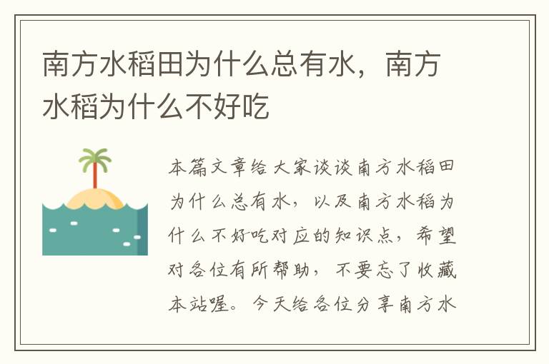 南方水稻田为什么总有水，南方水稻为什么不好吃