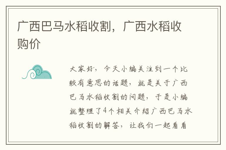 广西巴马水稻收割，广西水稻收购价