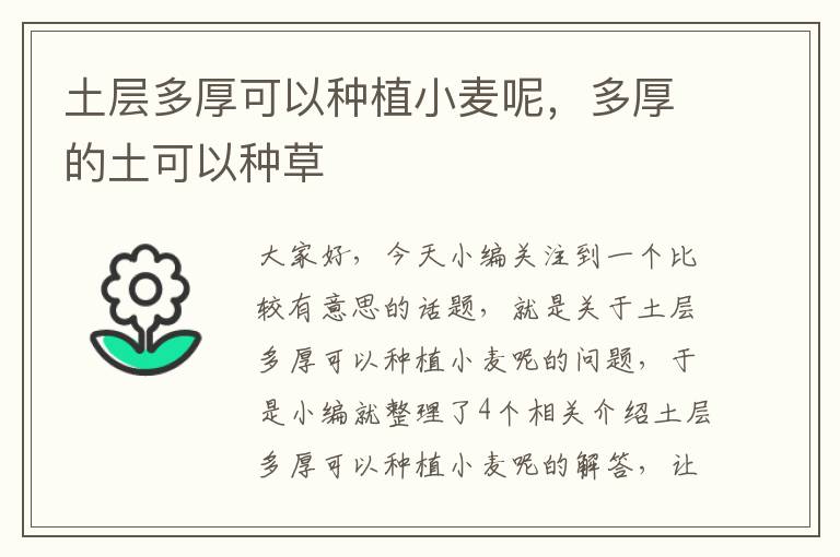 土层多厚可以种植小麦呢，多厚的土可以种草