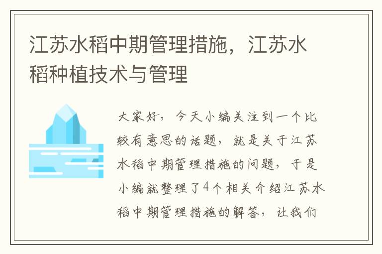 江苏水稻中期管理措施，江苏水稻种植技术与管理