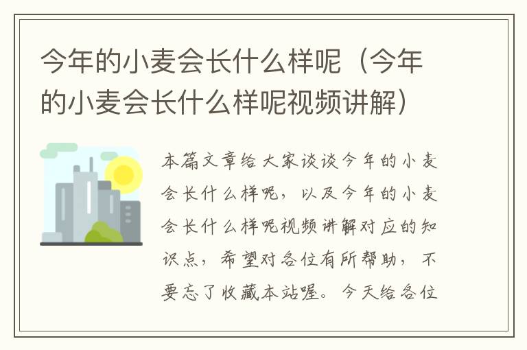 今年的小麦会长什么样呢（今年的小麦会长什么样呢视频讲解）