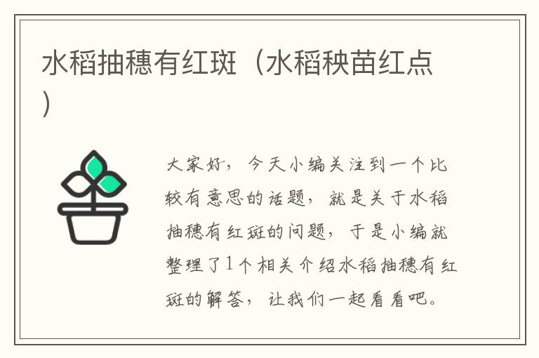 水稻抽穗有红斑（水稻秧苗红点）