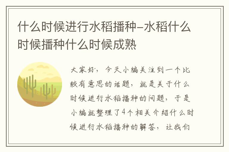 什么时候进行水稻播种-水稻什么时候播种什么时候成熟