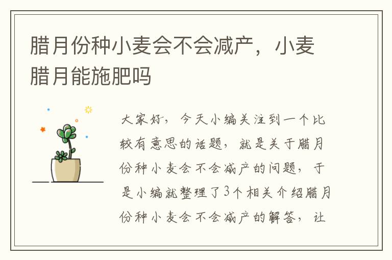 腊月份种小麦会不会减产，小麦腊月能施肥吗