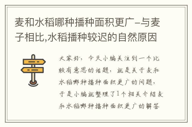 麦和水稻哪种播种面积更广-与麦子相比,水稻播种较迟的自然原因是