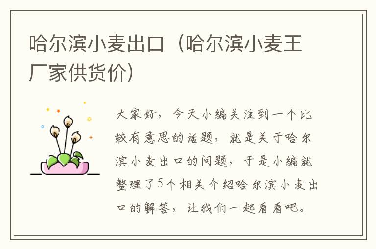 哈尔滨小麦出口（哈尔滨小麦王厂家供货价）